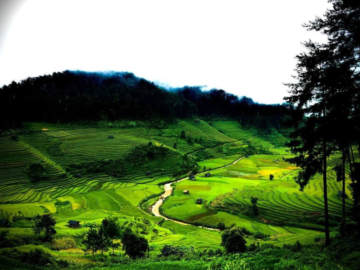 Do Gu Homestay Lao San Chay Bagian luar foto
