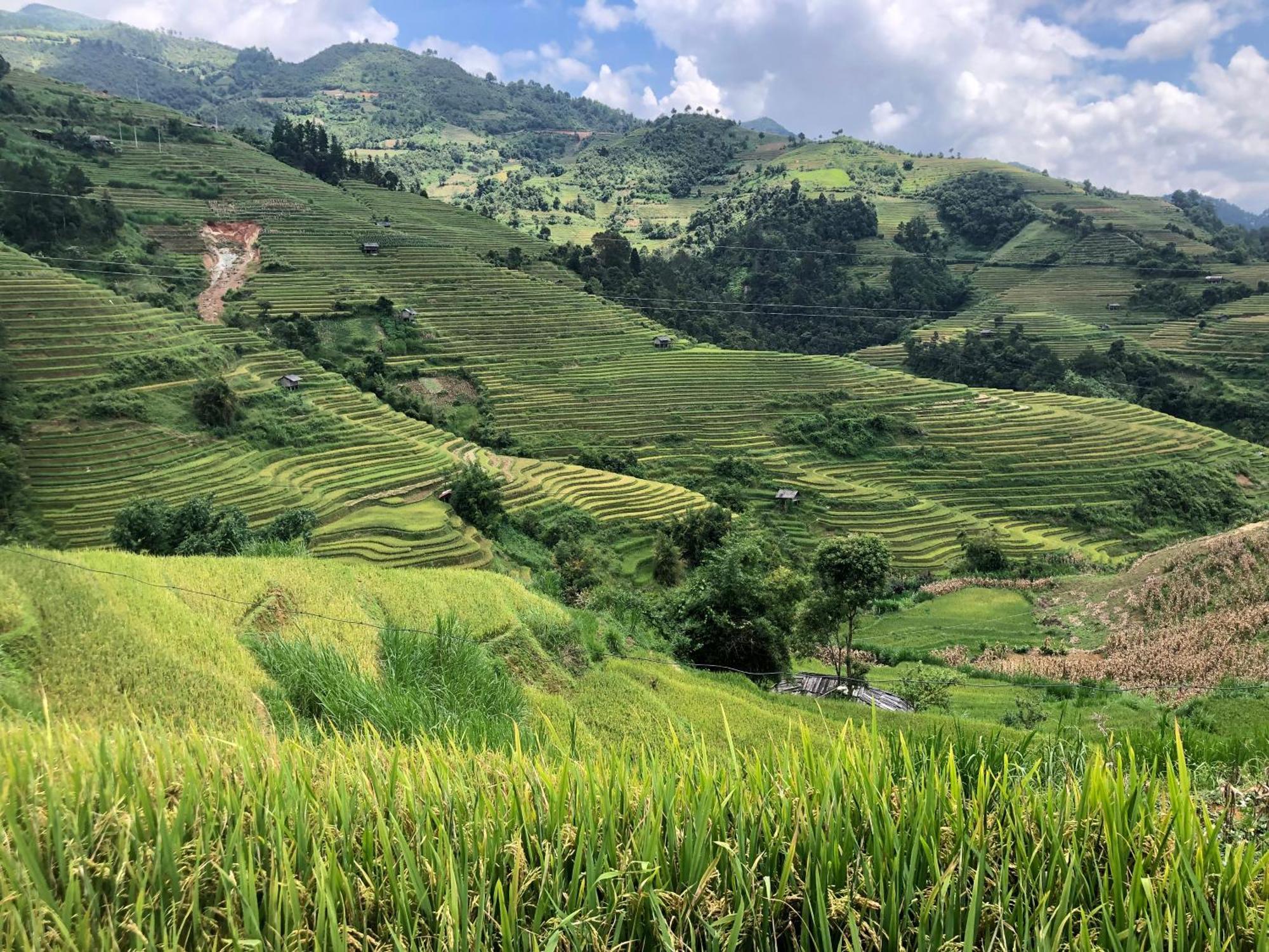 Do Gu Homestay Lao San Chay Bagian luar foto