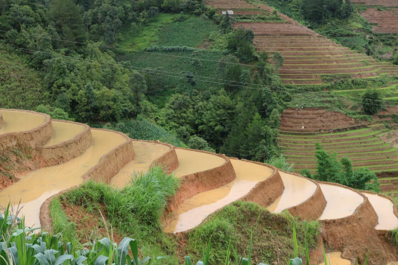 Do Gu Homestay Lao San Chay Bagian luar foto