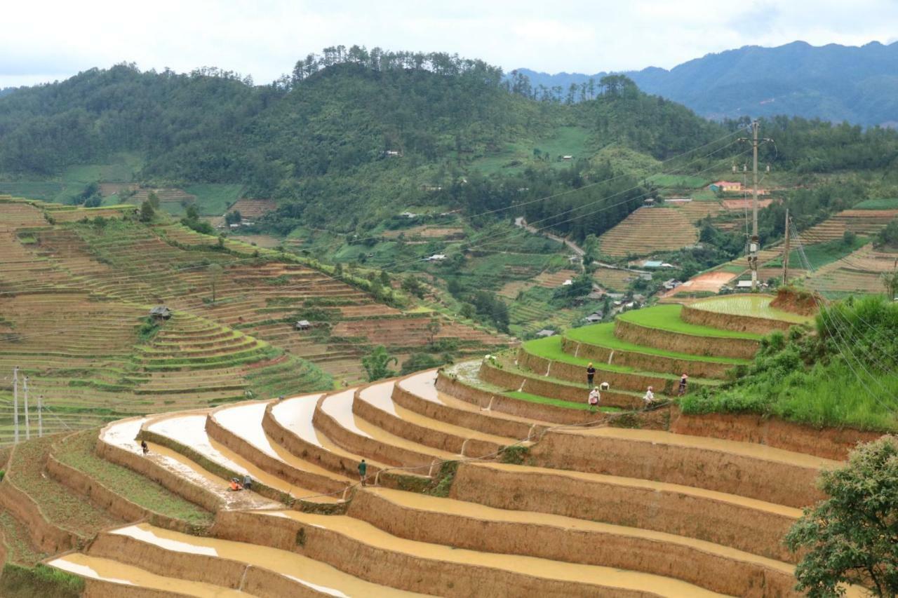 Do Gu Homestay Lao San Chay Bagian luar foto