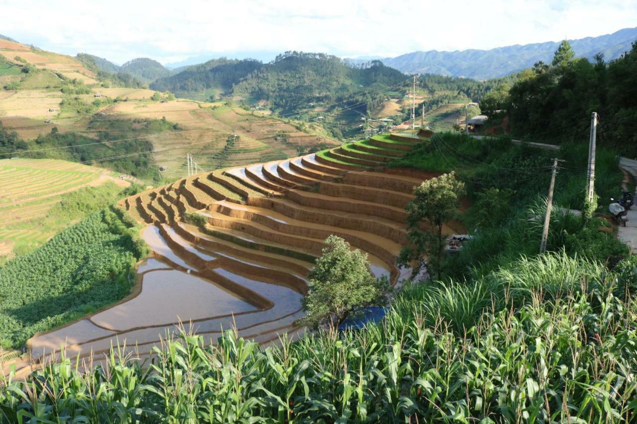 Do Gu Homestay Lao San Chay Bagian luar foto