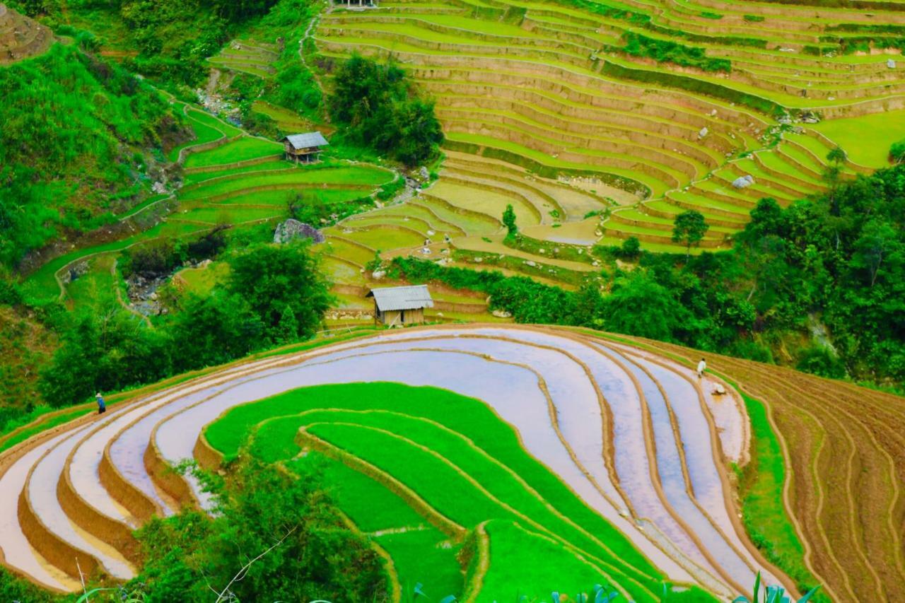 Do Gu Homestay Lao San Chay Bagian luar foto