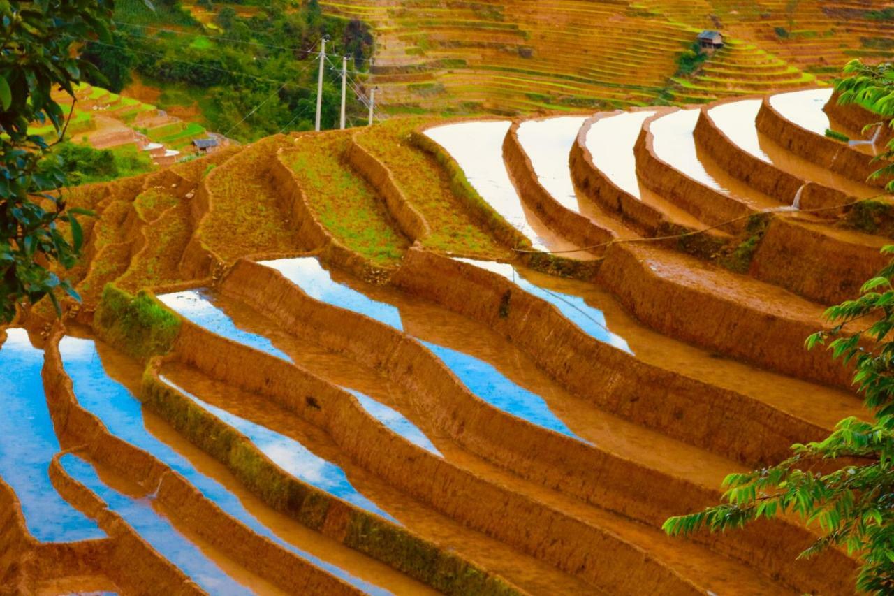 Do Gu Homestay Lao San Chay Bagian luar foto