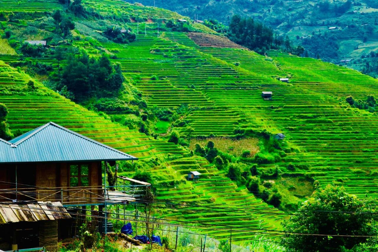 Do Gu Homestay Lao San Chay Bagian luar foto
